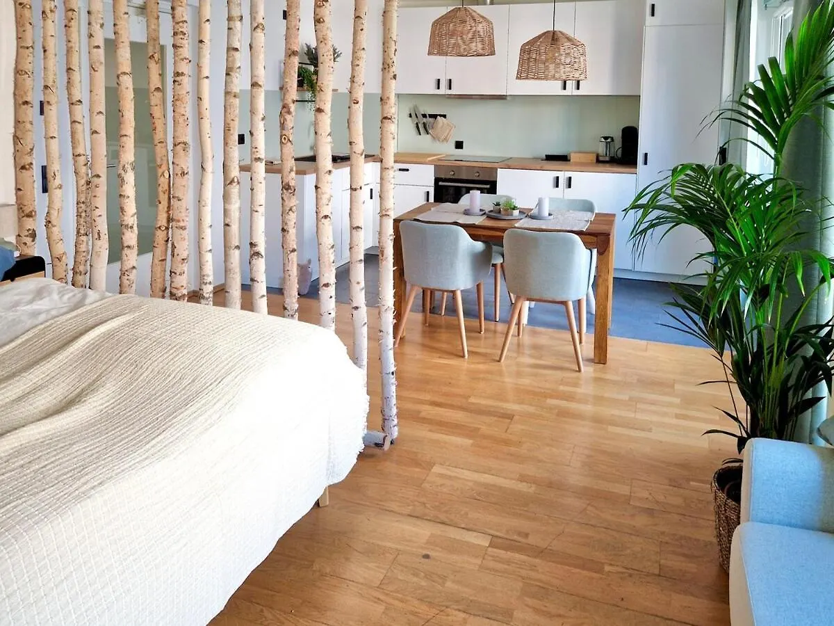 Grosszuegiges Studio-Apartment Dresden 0*,