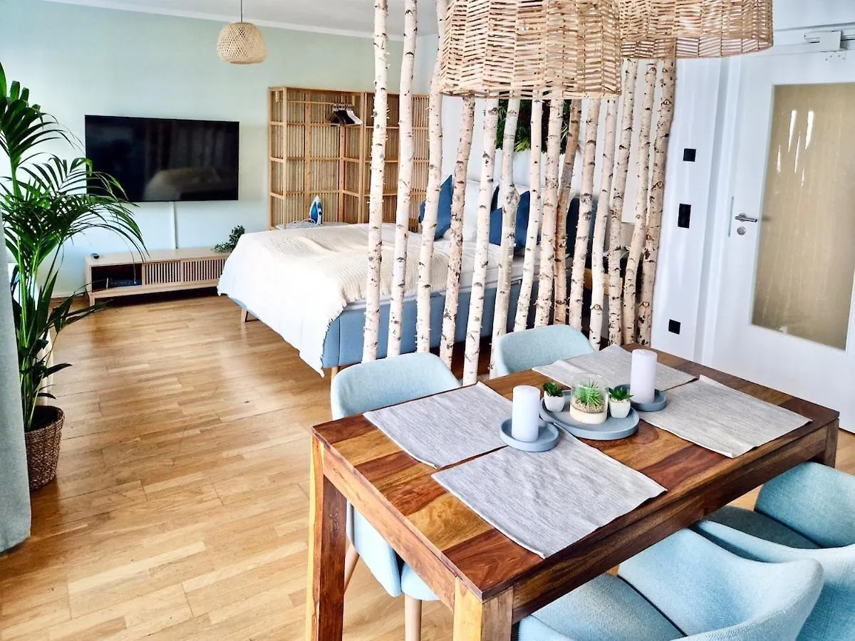 Grosszuegiges Studio-Apartment Dresden Germany