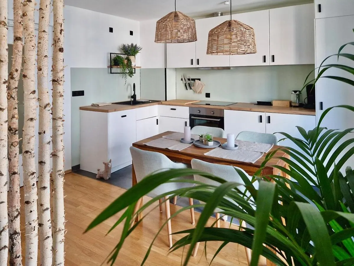 Grosszuegiges Studio-Apartment Dresden